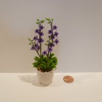 Flowers in white planter w/tall purple flowers